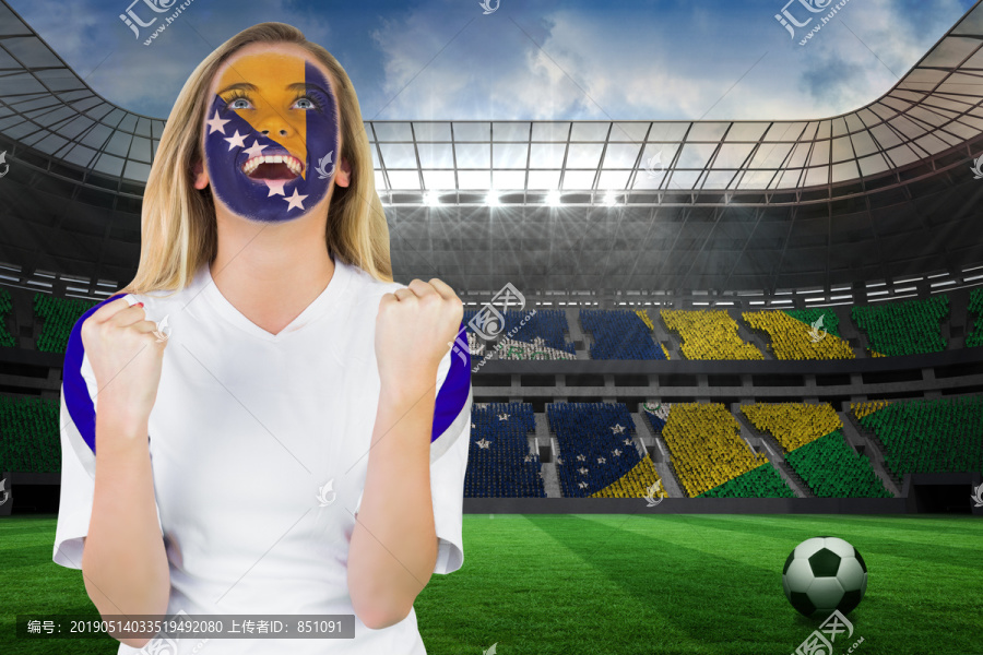 波斯尼亚球迷脸上的油漆