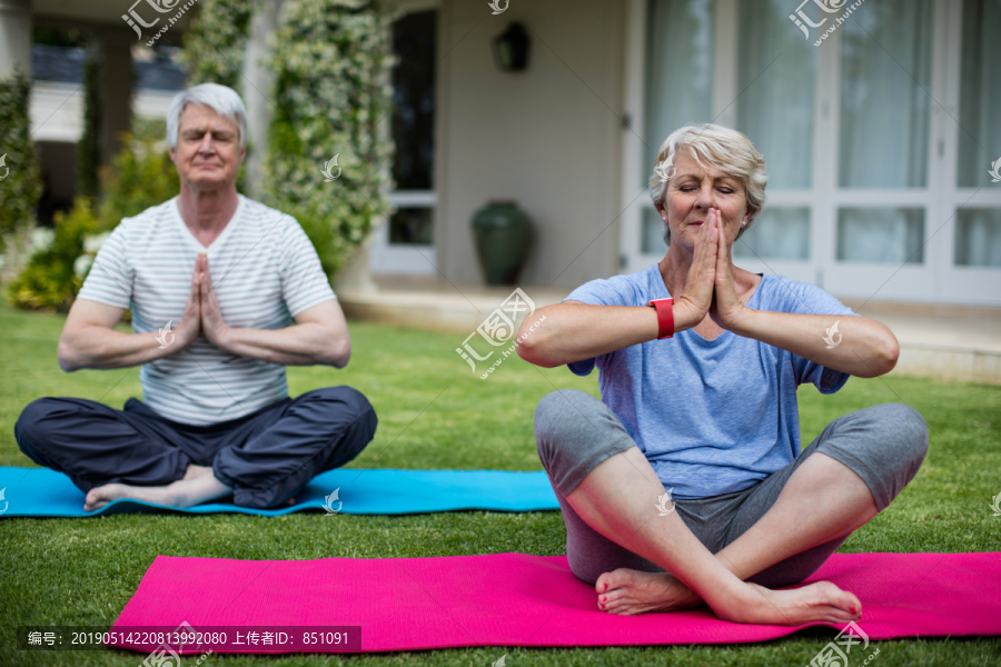 在草坪上练习瑜伽的老年夫妇