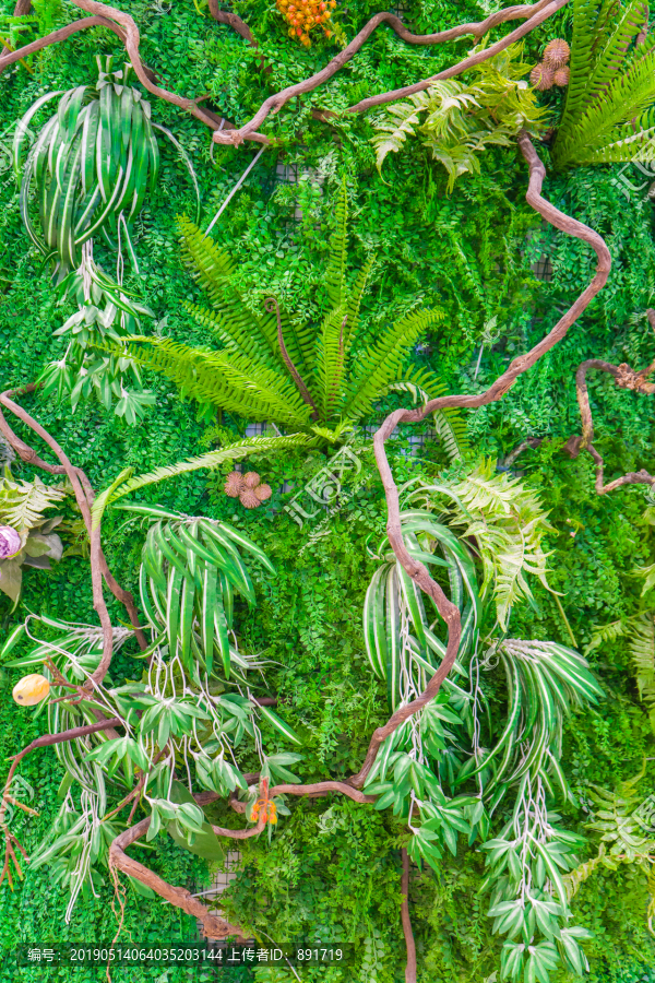 植物墙素材