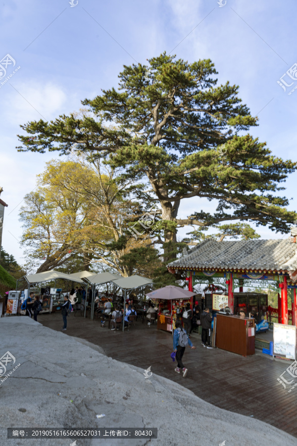 华山西峰风光