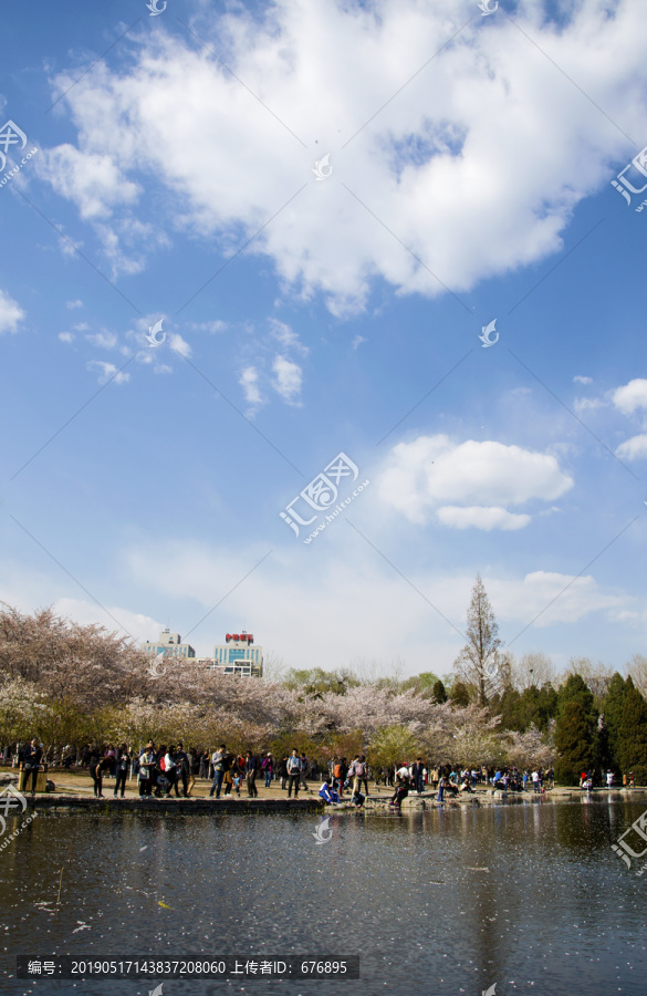 湖色花韵一园春