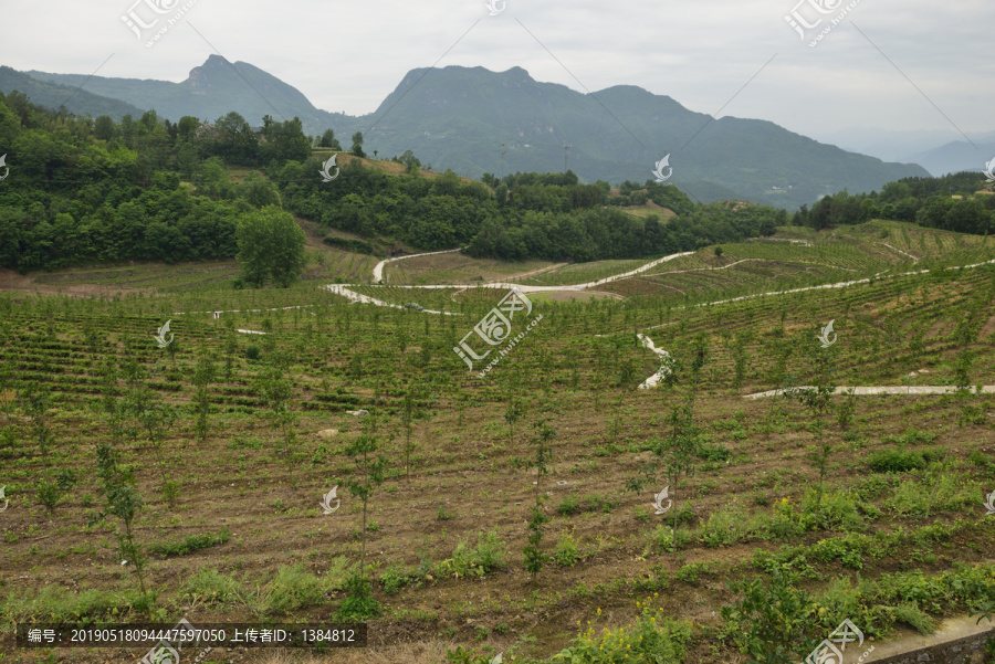 美丽乡村