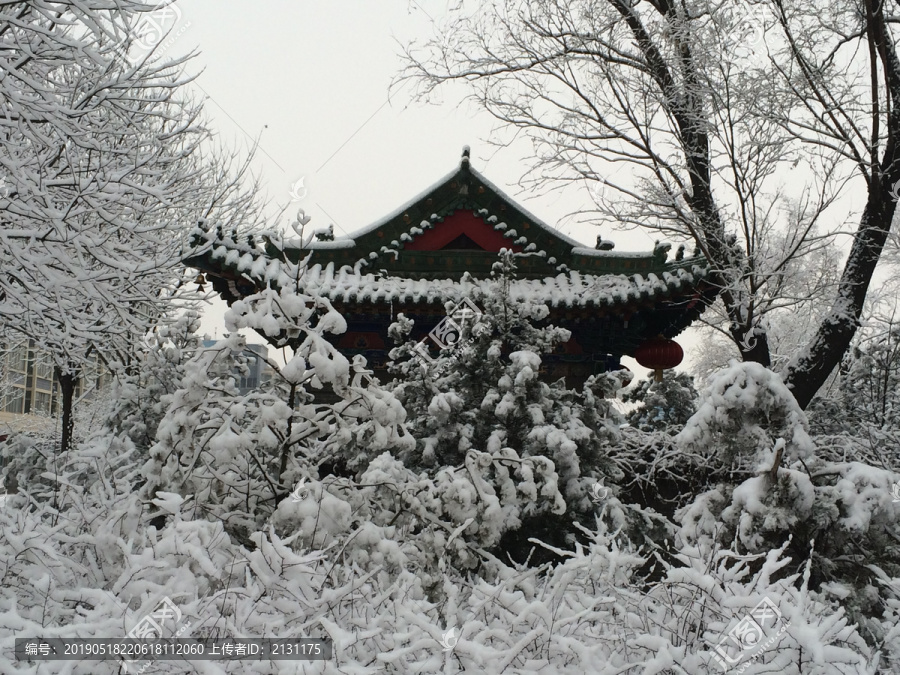 雪打灯