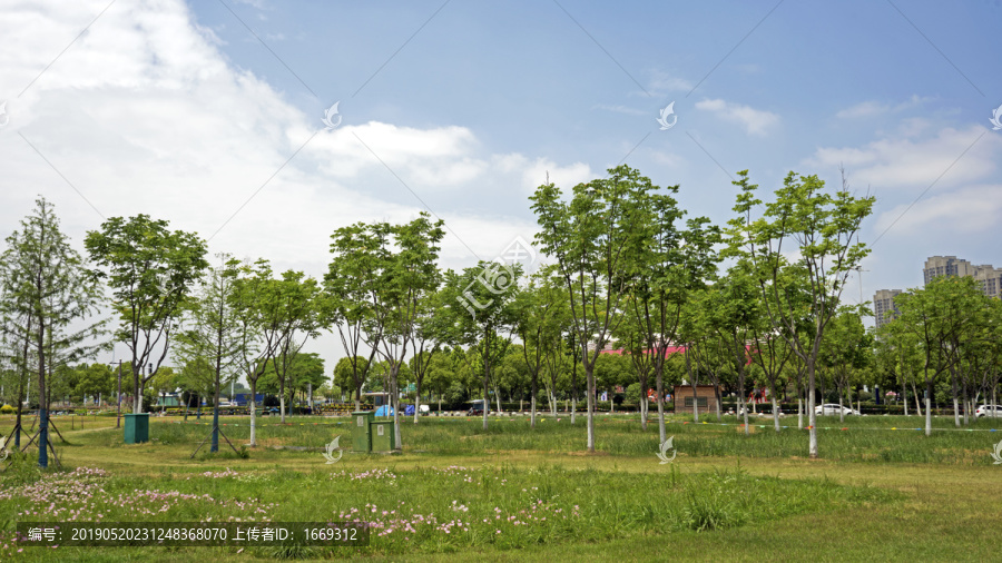 合肥滨湖岸上草原