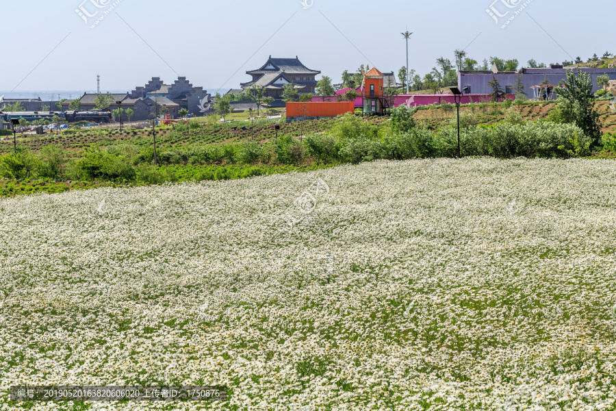 花田