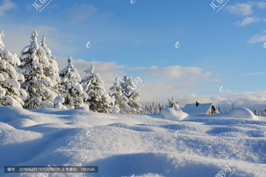 雪景