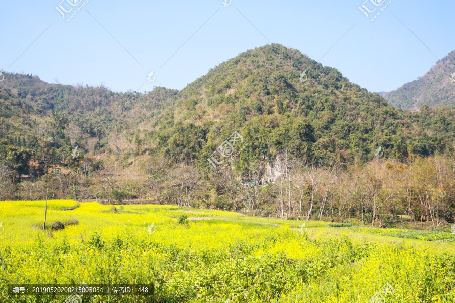 田园风光