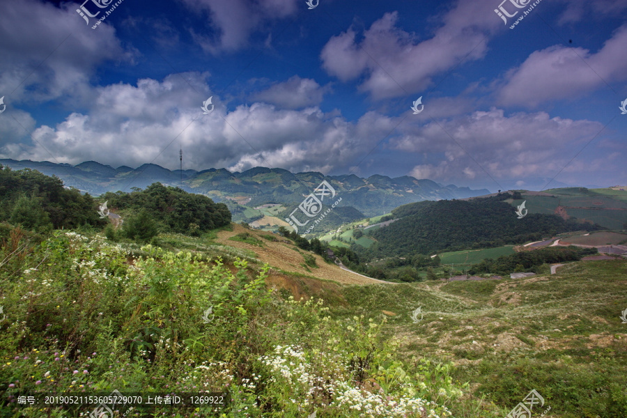 高山草甸