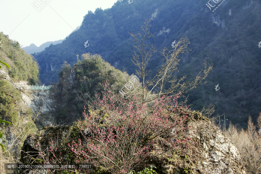 神龙架