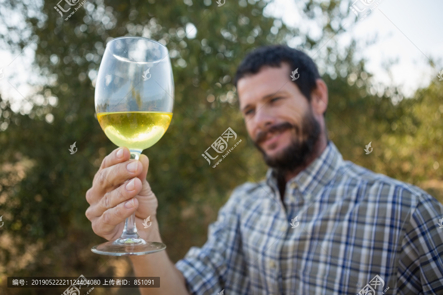 微笑的男人看着橄榄园里的酒杯