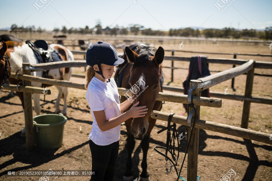 女孩在牧场里爱抚那匹棕色的马