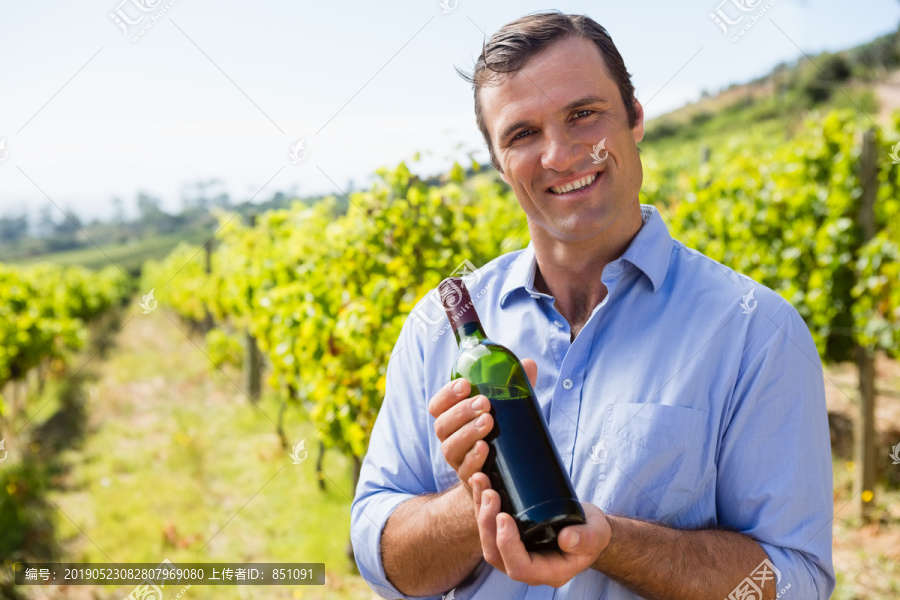 微笑葡萄酒商检查葡萄酒的肖像