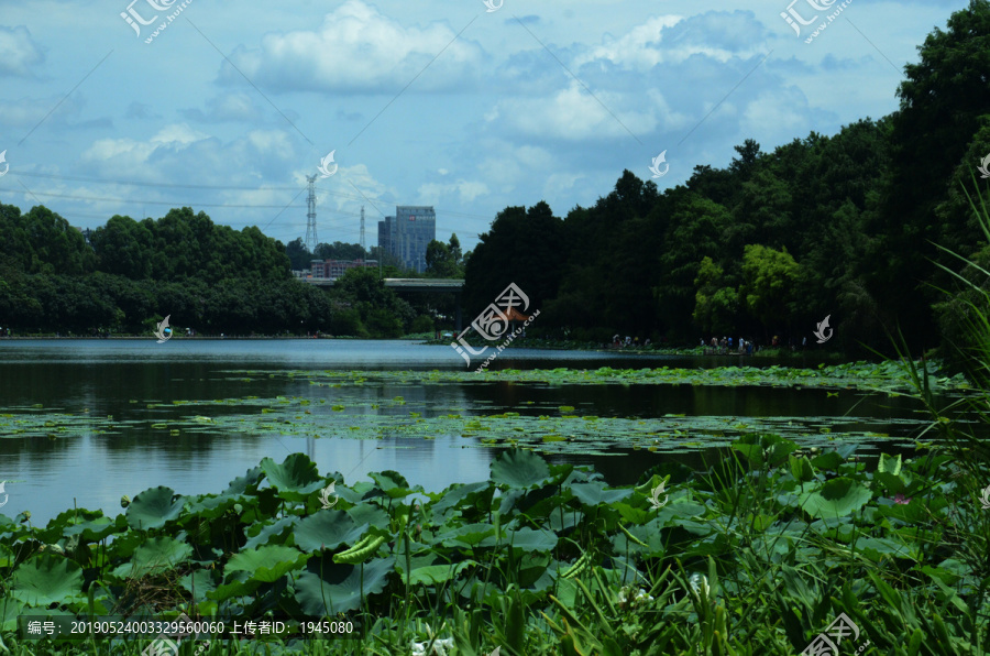 深圳洪湖公园