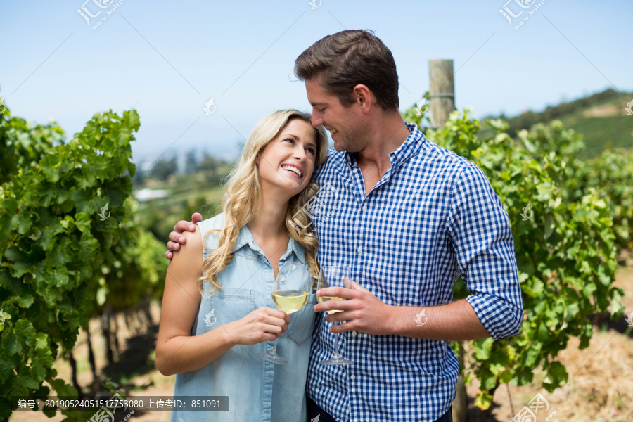 葡萄园里拿着酒杯的幸福夫妇