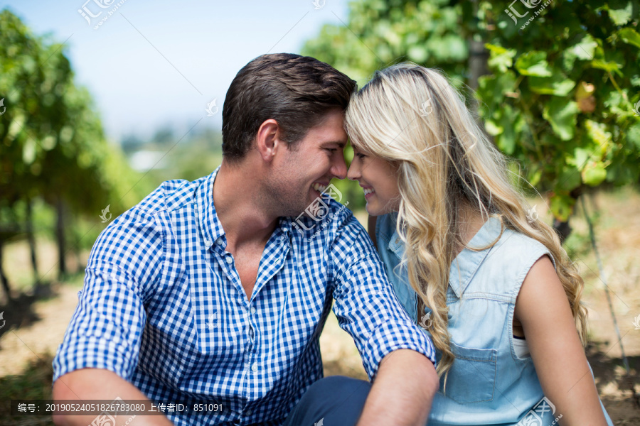 葡萄园里幸福的年轻夫妇