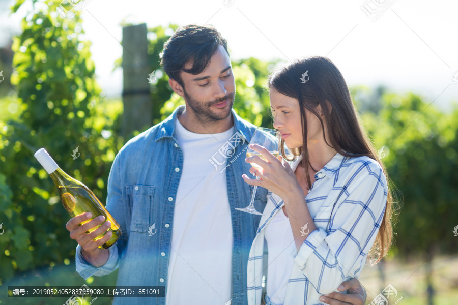 站在葡萄园边举杯的夫妇