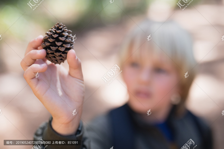 森林中抱松果男孩的高视角观察