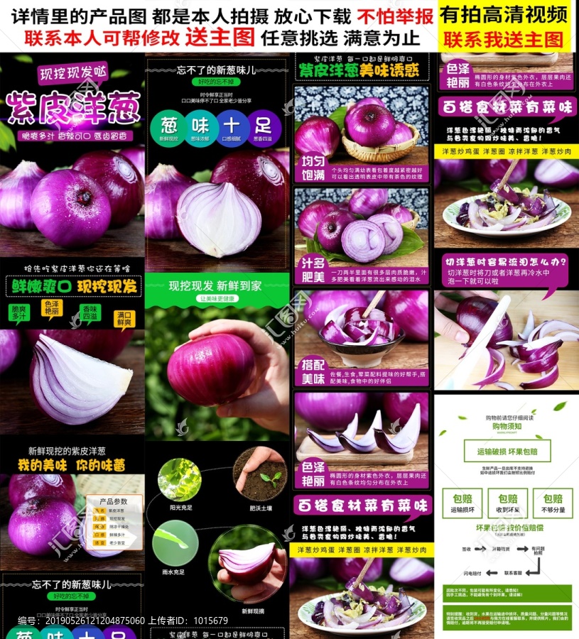洋蔥詳情