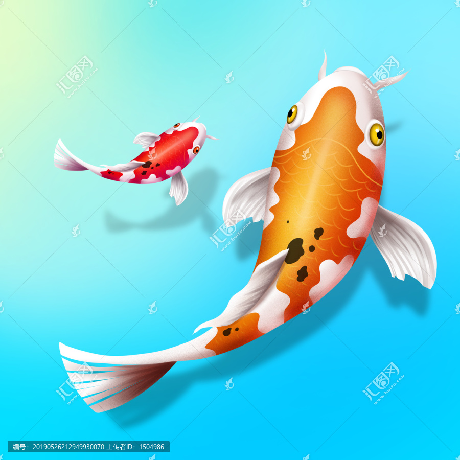 鯉魚