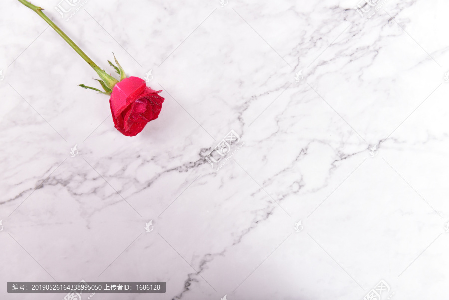 大理石上的玫瑰花