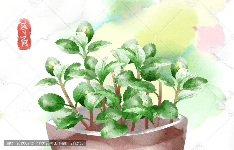 水彩風(fēng)格植物薄荷葉子插畫(huà)