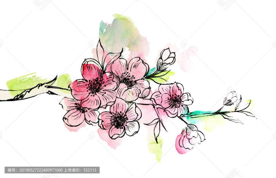淡彩桃花插畫