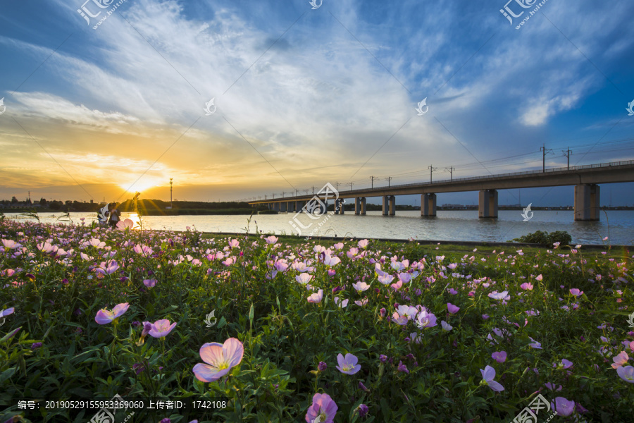 阳澄湖夕阳