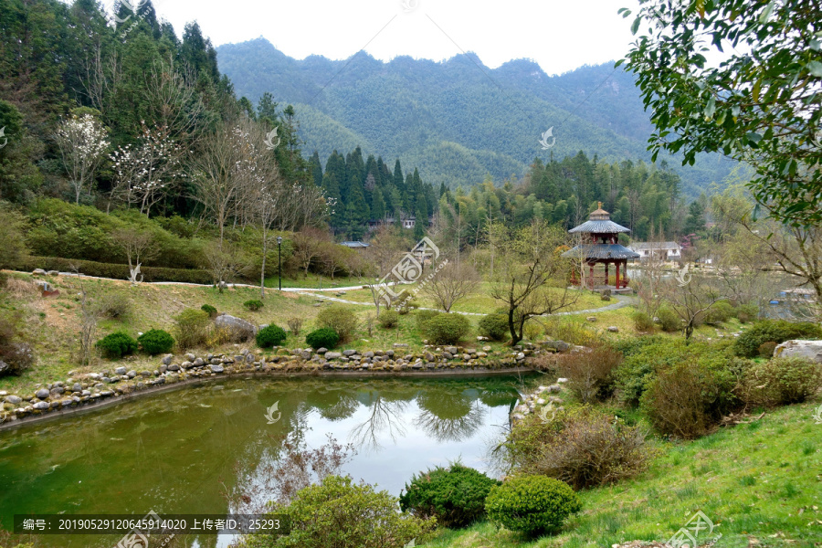 井岗山生态博览园