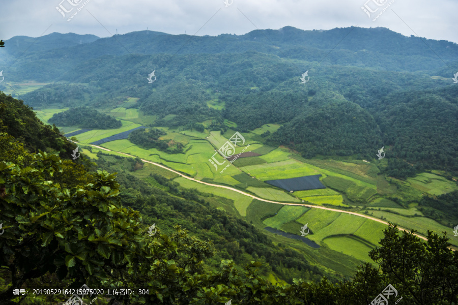 菌子山风光