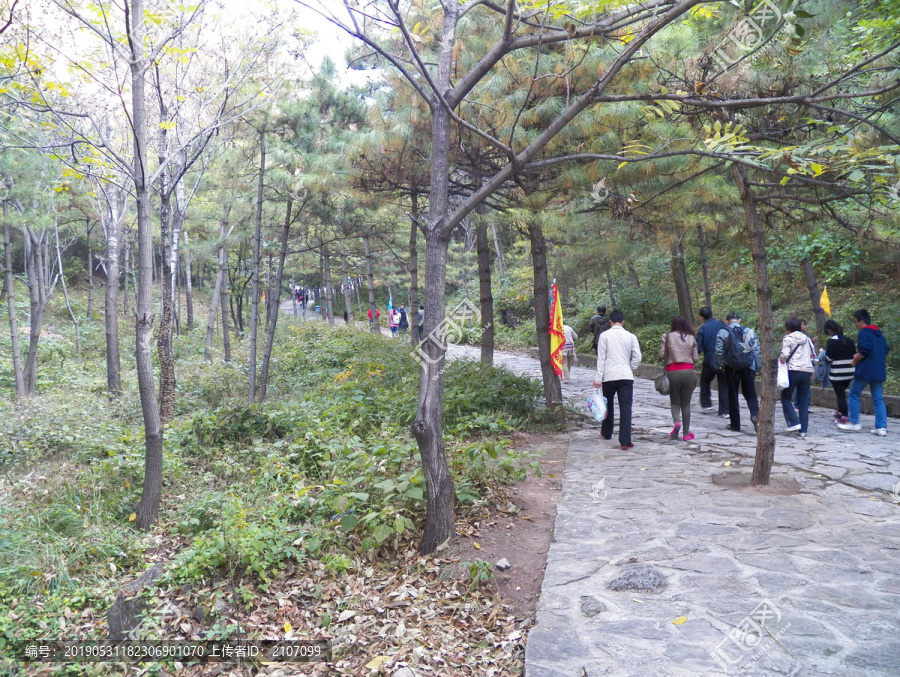 藏山景区