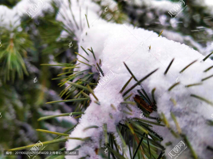 雪景