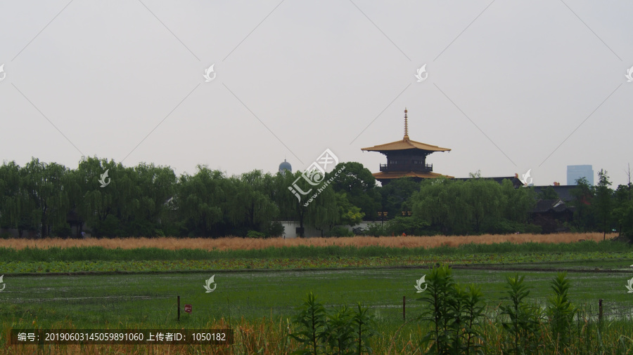 上海广富林郊野公园