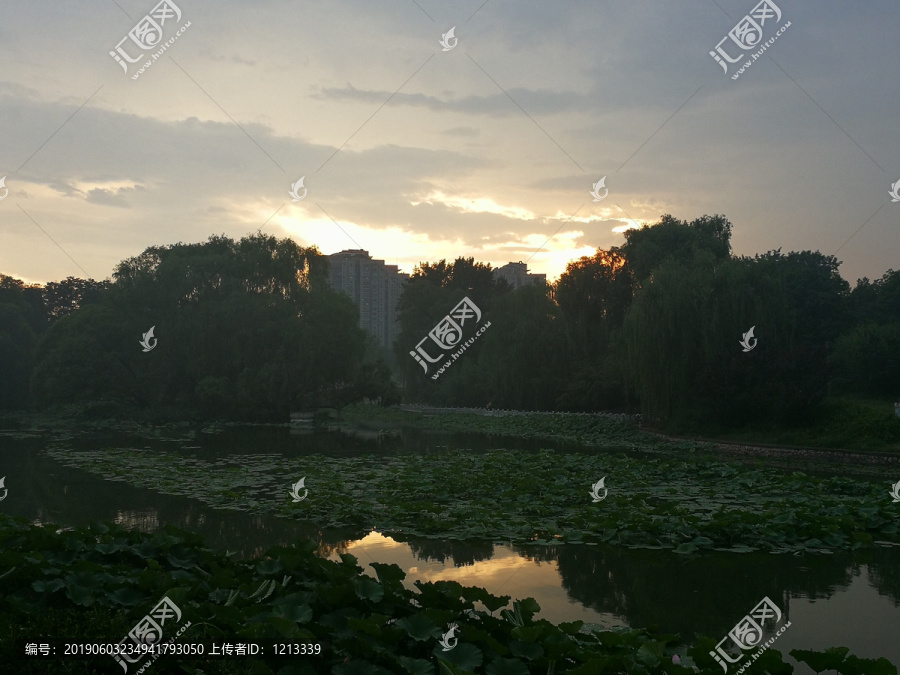 荷花池塘晚霞