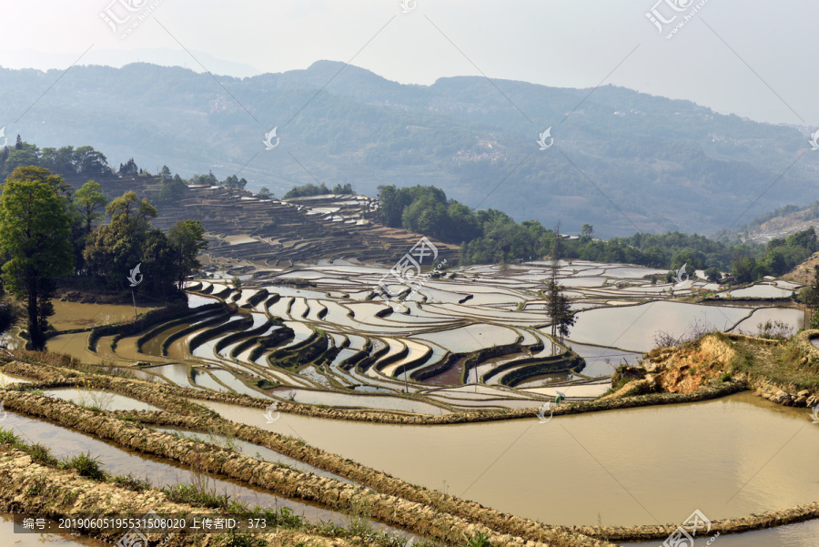 元阳梯田