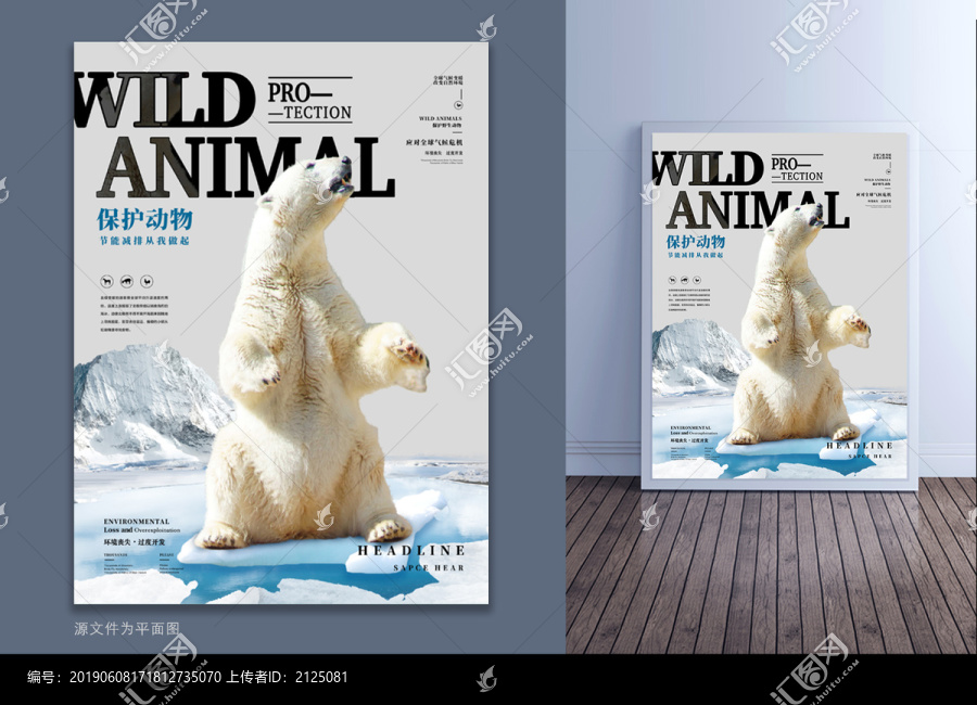 PSD保护野生动物海豹创意海报