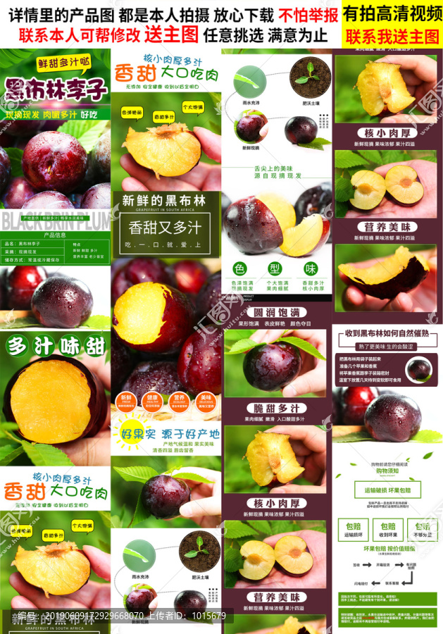 黑布林李子詳情