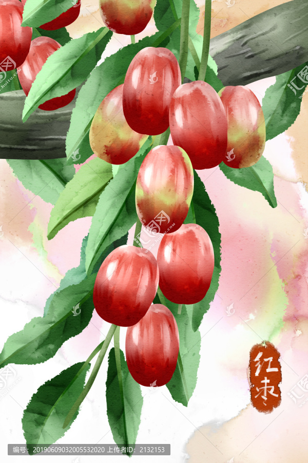 水彩風(fēng)格水果食物紅棗插畫