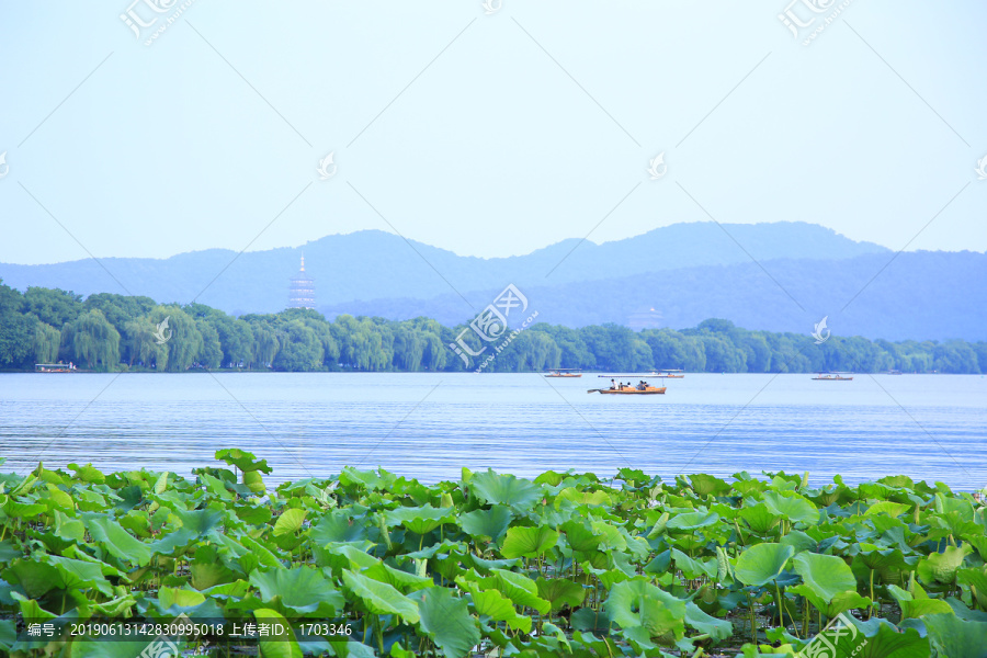 曲院风荷景区