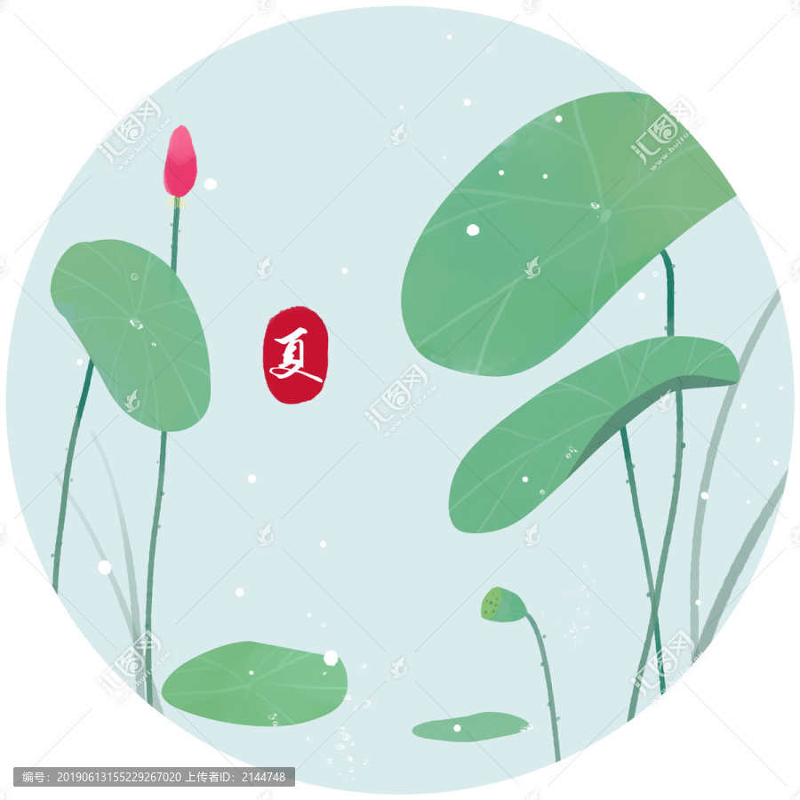 清新夏季荷葉
