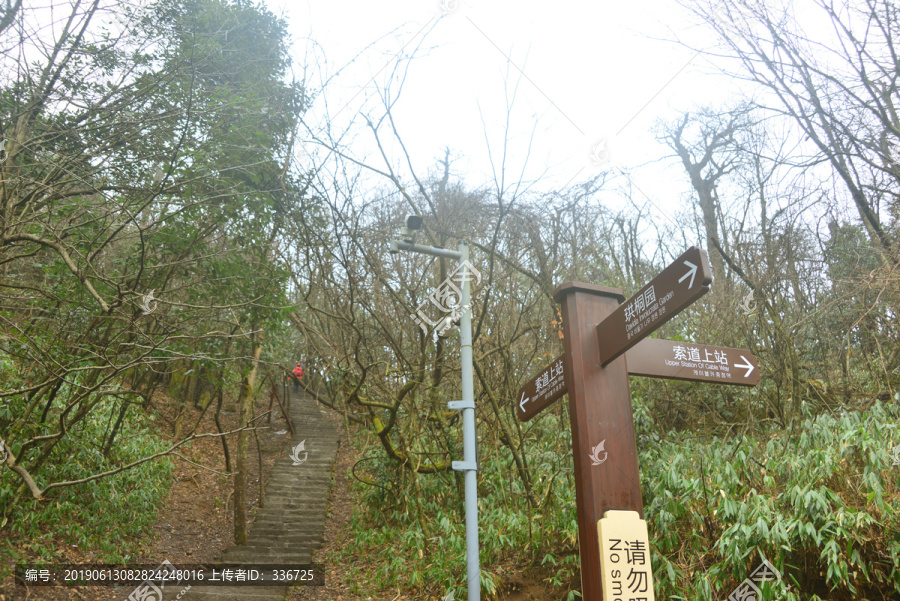 张家界天门山珙桐园导引牌