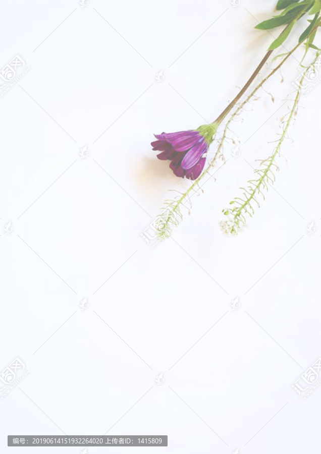紫色鮮花信紙