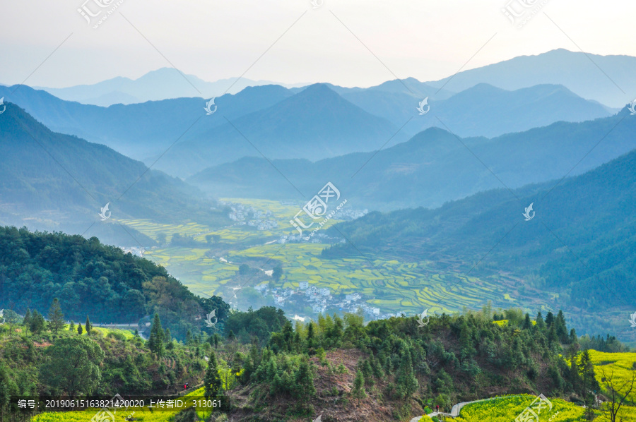 婺源油菜花