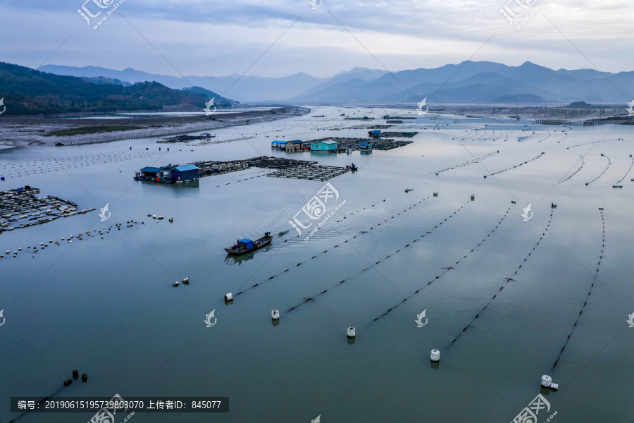 海湾捕鱼