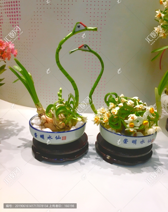 水仙花造型