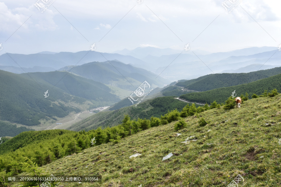 山景