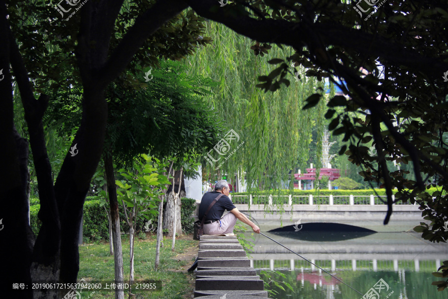 树荫下垂钓