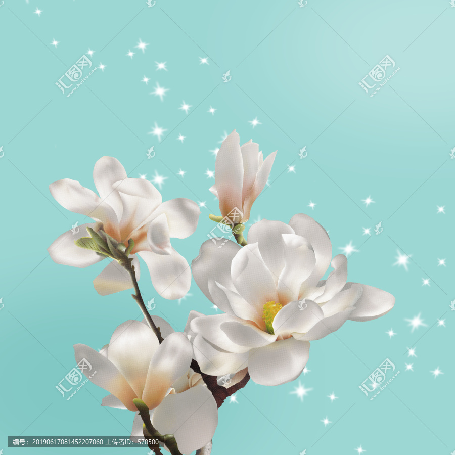 玉蘭