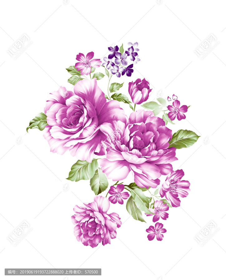 花團(tuán)錦簇紫色牡丹