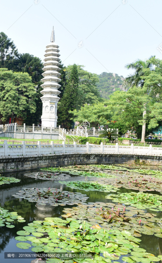 福建厦门南普陀寺荷塘风景