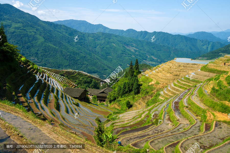 龙脊梯田